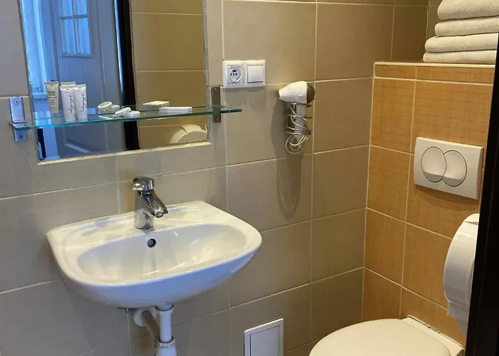 Nest Проживание в семье *